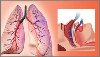 Pulmonologist in Ahmedabad, Pulmonologist in Rajasthan, Pulmonologist in Gujarat, Pulmonologist in Gandhinagar