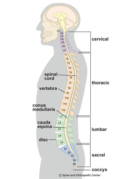 spine surgeon in Gandhinagar